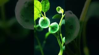 Where Does the Sun’s Energy Go?