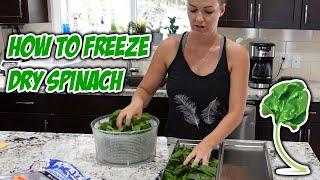 How to Freeze Dry Spinach
