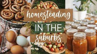 HOW TO START HOMESTEADING WITHOUT LAND / Urban homesteading for beginners