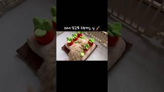 코코네 당근밭 놀러오세요‍