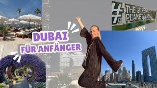 Dubai für Anfänger: Die wichtigsten Tipps und Highlights ! 