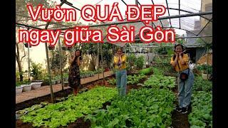 Ngay giữa Sài Gòn, có khu vườn QUÁ ĐẸP, đủ thứ HOA, RAU, TRÁI sạch | THÍCH TRỒNG CÂY TV