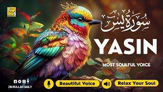 Surah Yasin (Yaseen) سورة يس  Beautiful voice heart touching  Calming Quran For Sleep  Alaa Aqel