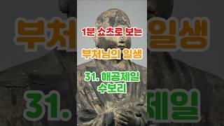 31. 해공제일 수보리. #명상 #기도 #불교 #부처님 #불교철학 #초기불교 #수보리 #십대제자 #관세음보살 #아미타블 #스님 #조계종