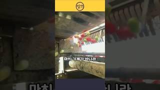 슬로우 모션으로 보는 순간 진짜가 보입니다  #AI기계 #토마토분류기 #공장기술