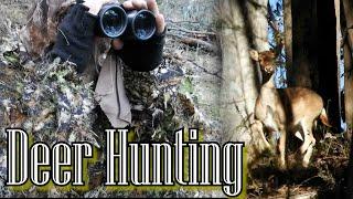 Deer Hunting in Victoria