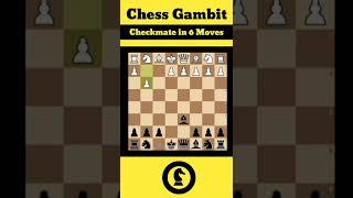 Checkmate in 6 moves | Chess gambit | Chess mentor