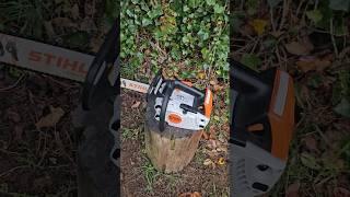 Stihl 194t Running #chainsaws