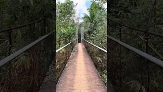 Hanging bridge at Palsabangon Pagbilao Quezon #shorts