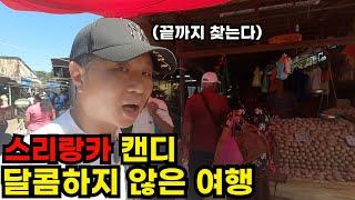 스리랑카 여행이 아쉬운 하찮은 이유 (시내 여행) - 스리랑카 캔디(4)