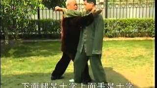 武式太極拳_ 實戰法大全// 正宗//