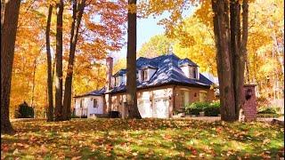 BEAUTIFUL Autumn Foliage and Countryside Cozy Homes near Toronto in  Forest full of Gold Colors 4K