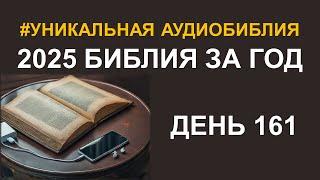 День 161.  Библия за год.  Библейский ультрамарафон портала «Иисус»
