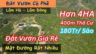 Đất Vườn Cà Phê Rẻ Nhất Huyện Lâm Hà Lâm Đồng - 400m2 Thổ Cư, Có Nhà Ở Mặt Đường Dài View Đẹp