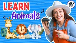 Learn Animals | Names & Sounds | Zoo Safari | Kids Songs | Toddler Learning Video | Phonics & Signs