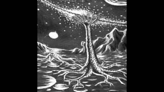 Michael Conroy - Space Trees