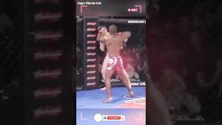 MMA Knock Out Game  #wushufight #martialarts #mma #mmafighter #shorts #youtube #videoviral ️️