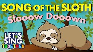 Song of the Sloth (Slow Down)