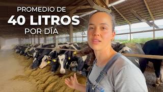 11 MIL LITROS DE LECHE POR DÍA CON 290 VACAS EN LACTANCIA - GRANJA SANTA ELMIRA, BRASIL 