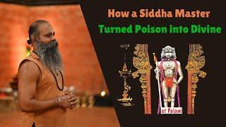 Miraculous Power of Siddha Yoga - From Poison to Divine Experience