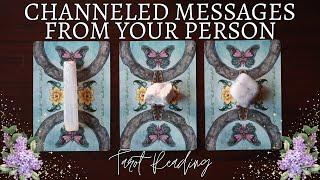 Channeled Love Messages From Your Person  Pick A Card Tarot Reading