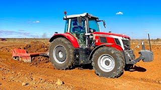 ÇELTİK TARLASI TESVİYESİ | MASSEY FERGUSON 6S.155