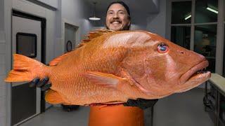 The Reason Dog Snapper Got Its Name