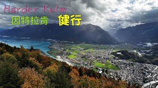 Harder Kulm 健行 2024.10.13