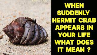 WHEN SUDDENLY HERMIT CRAB APPEARS IN YOUR LIFE WHAT DOES IT MEAN ?