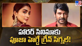 హారర్ సినిమాకు పూజా హెగ్డే  గ్రీన్ సిగ్నల్! | Pooja Hegde green signal for horror movie..? -TV9