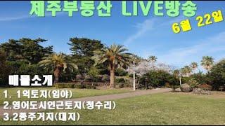 [LIVE]제주부동산 실시간(매물소개)1억땅. 영어교육도시주택지을토지.제주원룸.상가주택지을땅#제주토지매매 #제주도땅 #제주집지을