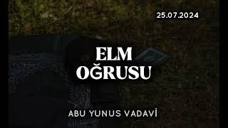 Elm oğrusu