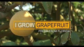 I Grow: Grapefruit