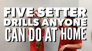 Five Setter Drills You Can Do At Home