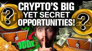 The BIGGEST Yet UNKNOWN Opportunity in Crypto (Max Gains!)