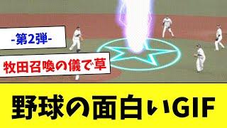 【笑ったら負け】プロ野球のおもしろGIF・動画まとめ第2弾…www