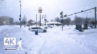 3 Hours of Graceful Snowfall Walks in Finland - Slow TV 4K