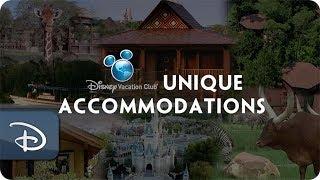 5 Unique Disney Vacation Club Accommodation Options