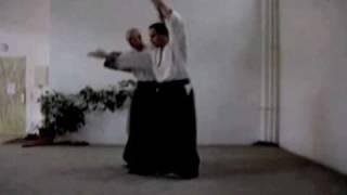 Wolf Ehrhardt & Harald Ross - the idea of aikido