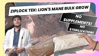 Spawning Lion's Mane to Bulk Using Ziplock Tek and Unsupplemented Substrate