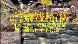 很快又到2025年，加拿大人最關心的是民生問題，生活實在不易爲。   HD 1080p