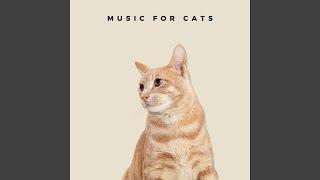 Relaxing Piano Music For Cats