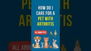 How do I care for a Pet with Arthritis? #petcare #pethealth