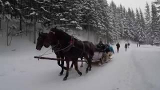 Morskie Oko : One Day Trip : GoPro