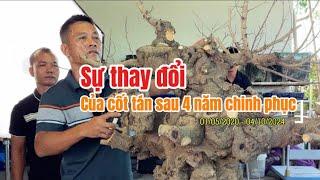 Sự thay đổi của CỐT TÁN sau 4 năm nghệ nhân NAM LÊ đã chinh phục