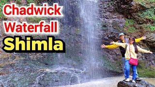 Chadwick Waterfall Shimla | Shimla Tourist Places | Shimla Himachal Pradesh #shimla #travelevergreen