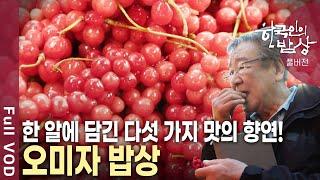 단맛, 신맛, 쓴맛, 매운맛, 짠맛! 한 알에 담겨 있는 다섯 가지 맛! 가을 오미자 밥상 [한국인의밥상 KBS 20181018 방송]