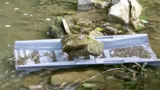 Gold Panning Picnic in a Carpathian River