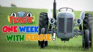 A Week with Fergie ! (Monday to Sunday) - Film | Little Grey Fergie