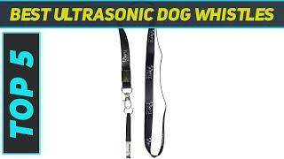 Top 5 Best Ultrasonic Dog Whistles in 2023